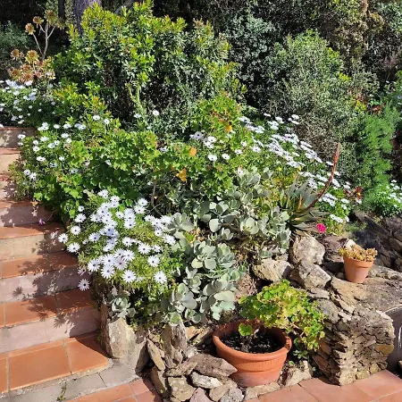 Calypso Hyeres